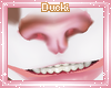 Drv Kibear Nose