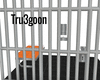 TG| Jail Set