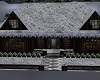 Snowy Home