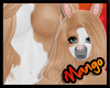 -DM- Paint Horse Fur F