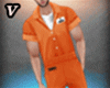 V| Prison Inmate Fits