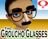 Groucho Glasses -Fem v1a