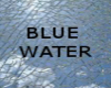 BLUE WATER CAFE