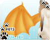 [Pets] Kimi | wings v4