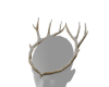 Soft Gold Antler Crown