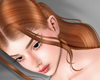 A| Hanin ginger