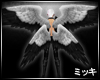 !Black&White Double Wing
