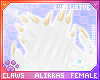 🌸; Holo Claws