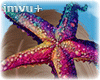 starfish mermaid V2
