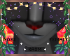 ꨄZelus Nova Noseꨄ