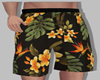 Mens-Tropical Shorts