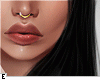 $ Septum