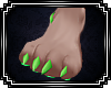 [F] Vert Feet Paws