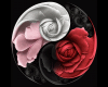 6v3| Roses Yin Yang