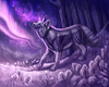 Purple Woof