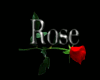 Rose Round Rug