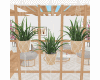 Triple Hanging Plant