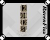 Gold 2025 Cube W/Light