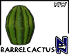 N}nw Barrel Cactus_01