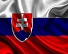 Slovak Flag Frame
