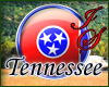 Tennessee Badge