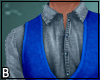 Blue Western Shirt Pants