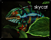 Sky~ Pet Chameleon V4
