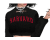 Harvard | Faze