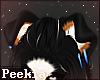 ❖ Bernese Ear V1 Blue