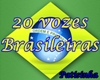 Vozes Feminas Brasil2