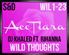 Wild Thoughts Song+Dance