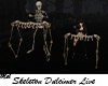 Skeleton Dulcimer Live