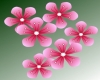 [ML]Sakura Flower