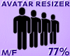 Avatar Resizer 77%