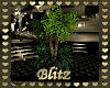 [my]Blitz Club Plants
