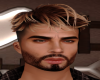 [Ts]Hair fenix