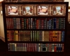 !Em Victorian Bookshelf