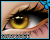 🦋| Ashlie Eyes R