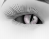 white wolfie eyes
