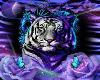 purple and gold tiger 