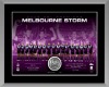 Melbourne Storm Poster
