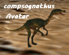 Compsognathus Avatar