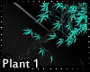 Teal night plant 1