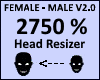 Head Scaler 2750% V2.0