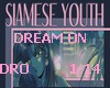 Siamese Youth - Dream On