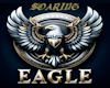 EAGLE CUDDLE SWING