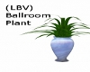 (LBV) Ballroom Plant