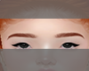 Carrot Eyebrows