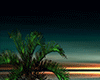 Derivable Island Beach