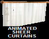 WHITE SHEER CURTAINS ani